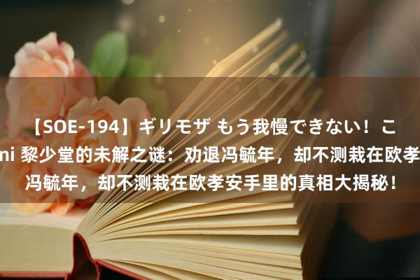 【SOE-194】ギリモザ もう我慢できない！ここでエッチしよっ Ami 黎少堂的未解之谜：劝退冯毓年，却不测栽在欧孝安手里的真相大揭秘！