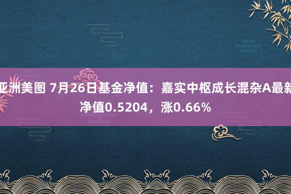 亚洲美图 7月26日基金净值：嘉实中枢成长混杂A最新净值0.5204，涨0.66%