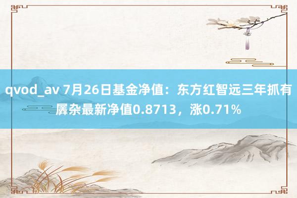 qvod_av 7月26日基金净值：东方红智远三年抓有羼杂最新净值0.8713，涨0.71%