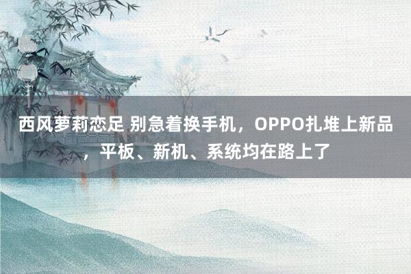 西风萝莉恋足 别急着换手机，OPPO扎堆上新品，平板、新机、系统均在路上了