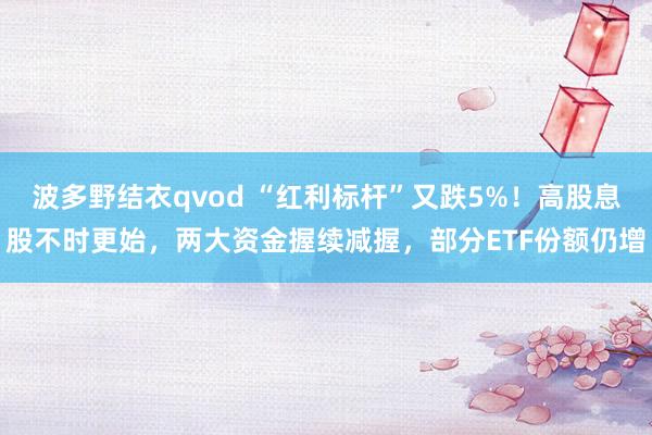 波多野结衣qvod “红利标杆”又跌5%！高股息股不时更始，两大资金握续减握，部分ETF份额仍增