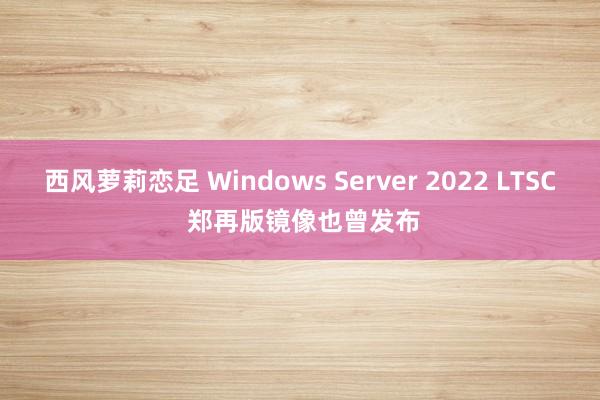 西风萝莉恋足 Windows Server 2022 LTSC 郑再版镜像也曾发布