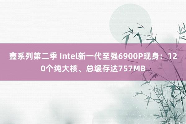 鑫系列第二季 Intel新一代至强6900P现身：120个纯大核、总缓存达757MB