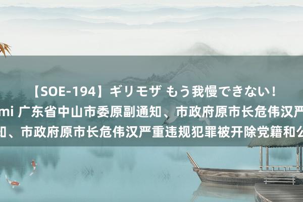 【SOE-194】ギリモザ もう我慢できない！ここでエッチしよっ Ami 广东省中山市委原副通知、市政府原市长危伟汉严重违规犯罪被开除党籍和公职
