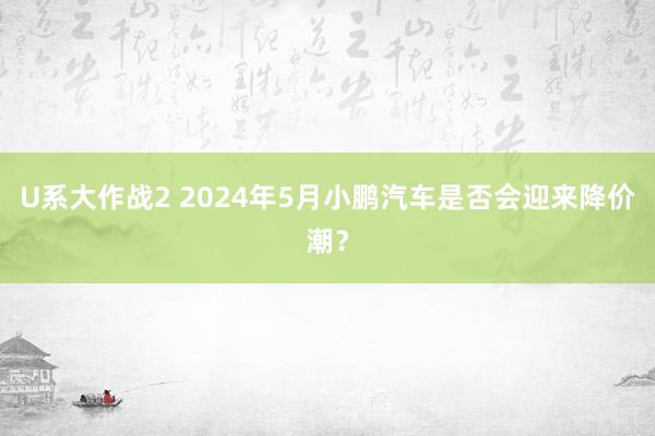 U系大作战2 2024年5月小鹏汽车是否会迎来降价潮？