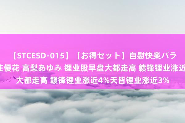 【STCESD-015】【お得セット】自慰快楽パラノイド 大場ゆい 本庄優花 高梨あゆみ 锂业股早盘大都走高 赣锋锂业涨近4%天皆锂业涨近3%