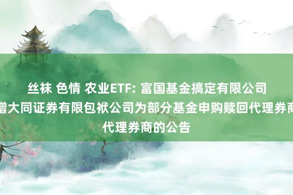 丝袜 色情 农业ETF: 富国基金搞定有限公司对于新增大同证券有限包袱公司为部分基金申购赎回代理券商的公告