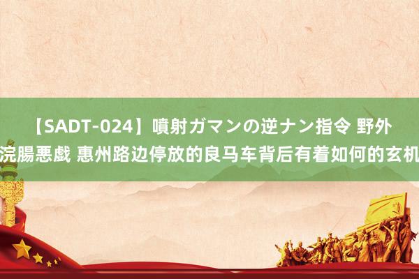 【SADT-024】噴射ガマンの逆ナン指令 野外浣腸悪戯 惠州路边停放的良马车背后有着如何的玄机