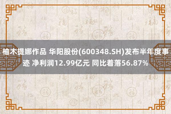 柚木提娜作品 华阳股份(600348.SH)发布半年度事迹 净利润12.99亿元 同比着落56.87%