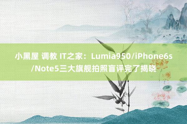 小黑屋 调教 IT之家：Lumia950/iPhone6s/Note5三大旗舰拍照盲评完了揭晓