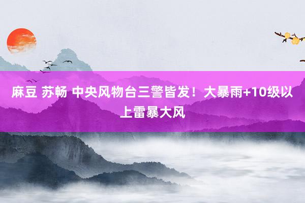 麻豆 苏畅 中央风物台三警皆发！大暴雨+10级以上雷暴大风